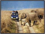 Delhi-Nainital-Corbett-Delhi Tour