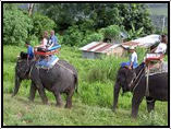 Delhi-Corbett-Delhi Tour