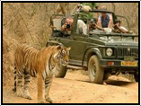 Delhi-Agrar-Ranthambore-Jaipur-Delhi Tour 