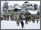 Delhi-Shimla-Chandigarh-Delhi Tour